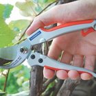 Tesoura De Poda Profissional Lamina Japonesa Tramontina 78316