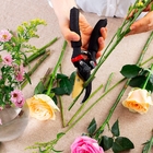 Tesoura Em Titânio Para Jardinagem Com Acionamento Por Mola