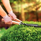 Tesoura para Cerca Viva 48cm Tramontina