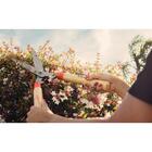 Tesoura Para Cerca-viva/grama Tramontina Lâminas Metálicas