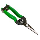 Tesoura para Colheita TS 803B 19cm Trapp