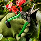 Tesoura para Colheita TS 803B 19cm Trapp