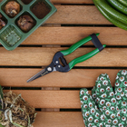 Tesoura para Colheita TS 803B 19cm Trapp