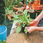 Tesoura para Frutas Curta Aço Tramontina