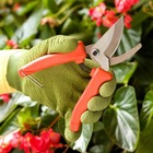 Tesoura para Poda Aço Carbono 25cm Tramontina