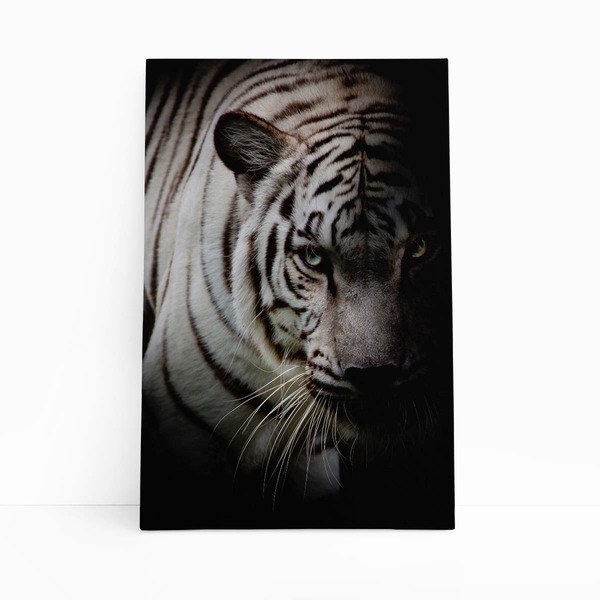 Tigre Branco Foto Animal Decorativo Quadro Canvas 100x70cm