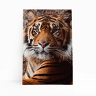 Tigre Fotografia Animal Decorativo Quadro Canvas 140x90cm