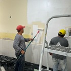 Tinta Acrilica  Extra Premium Antimosquito Corion Protect - 3