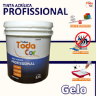 Tinta Acrílica Profissional Mais Econômica Menor Preço Cor Ge