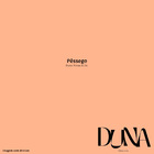 Tinta Coral Rende Muito Paredes E Tetos Pêssego 800ml