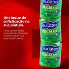 Tinta Esmalte Sintetico Eucatex 900ml Camurça Brilhante Eucal