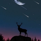 Tinta Glow Corion Led Cell 25ml Brilha Sem Luz Negra. Lumines