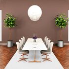 Tinta Latex Renove Acrilico Fosco 18l Cogumelo Japones