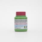 Tinta PVA fosca Acrilex verde folha 100ml