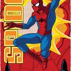 Toalha De Banho Estampada 60x120cm Spider-man Lepper