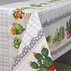 Toalha De Mesa Carinho Rolo 1,37m X 30m Cactos Kapazi