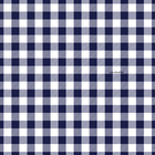 Toalha Mesa Térmica Impermeável Pvc Xadrez Azul 2,50x1,40