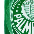 Toalha Veludo Times De Futebol Oficial 70x140cm - Buettner Pa