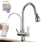 Torneia Monocomando Extensível Com Filtro Jato Ducha