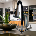 Torneira Aladim Metal Inox Com Filtro Cromado Flexível Preta