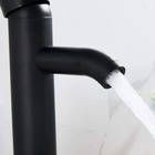 Torneira Banheiro Misturador Monocomando Alta Preta