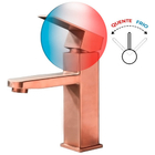 Torneira Banheiro Rose Luxo Monocomando Inox 304 Escovado