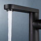 Torneira Bica Alta 22cm Misturador Monocomando Preta Aço