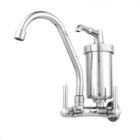 Torneira Com Filtro De Parede Cozinha Metal Cromado Bica Móve