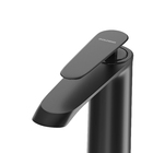 Torneira De Banheiro Moscou Preto Misturador Quente Frio Gold