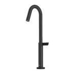 Torneira de Pia para Banheiro com Bica Alta Black Matte Logic Roca