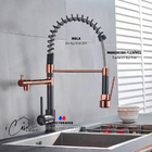 Torneira de Cozinha Gourmet Misturador Monocomando 55cm Premi