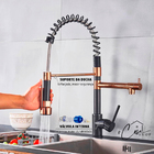 Torneira de Cozinha Gourmet Misturador Monocomando 55cm Premi