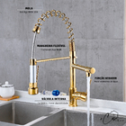 Torneira de Cozinha Gourmet Misturador Monocomando 55cm Premi