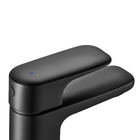 Torneira para Banheiro com Bica Fixa Baixa Preta Remix Sensea