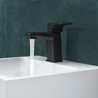 Torneira para Banheiro com Bica Fixa Baixa Preto Remix Sensea