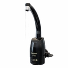 Torneira de Parede para Cozinha com Bica Média Preto 220V Luna Zagonel