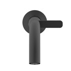 Torneira de Parede para Banheiro com Bica Reta Preta Fosca Design Celite