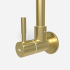 Torneira De Parede Para Cozinha Inox (brava Ouro Fosca)