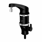 Torneira Elétrica de Pia para Cozinha com Bica Alta Articulável Preto 127V (110V) Elegance Fame