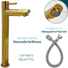 Torneira Fria Dourada Inox 304 Bica Alta 1/4 De Volta Pia Ban