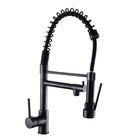 Torneira Gourmet 50cm Monoc Cozinha Bancada Preta F1006b