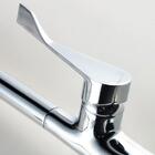 Torneira Gourmet Com Misturador Monocomando Loomix P-003