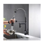 Torneira Gourmet Monocomando Com Ducha 50cm. Preta Fosca