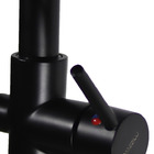 Torneira Gourmet Monocomando Com Entrada Para Filtro Preta