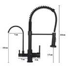 Torneira Gourmet Monocomando Com Entrada Para Filtro Preta