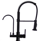 Torneira Gourmet Monocomando Com Entrada Para Filtro Preta