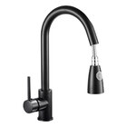 Torneira Gourmet Monocomando Com Extensor Ducha - Preta