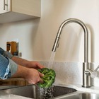 Torneira Gourmet Monocomando Escovada Inox