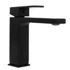 Torneira Lavatório Fortt Black Água Fria 2359