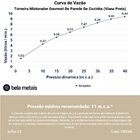 Torneira Misturador Gourmet De Parede De Cozinha (viana Preta)